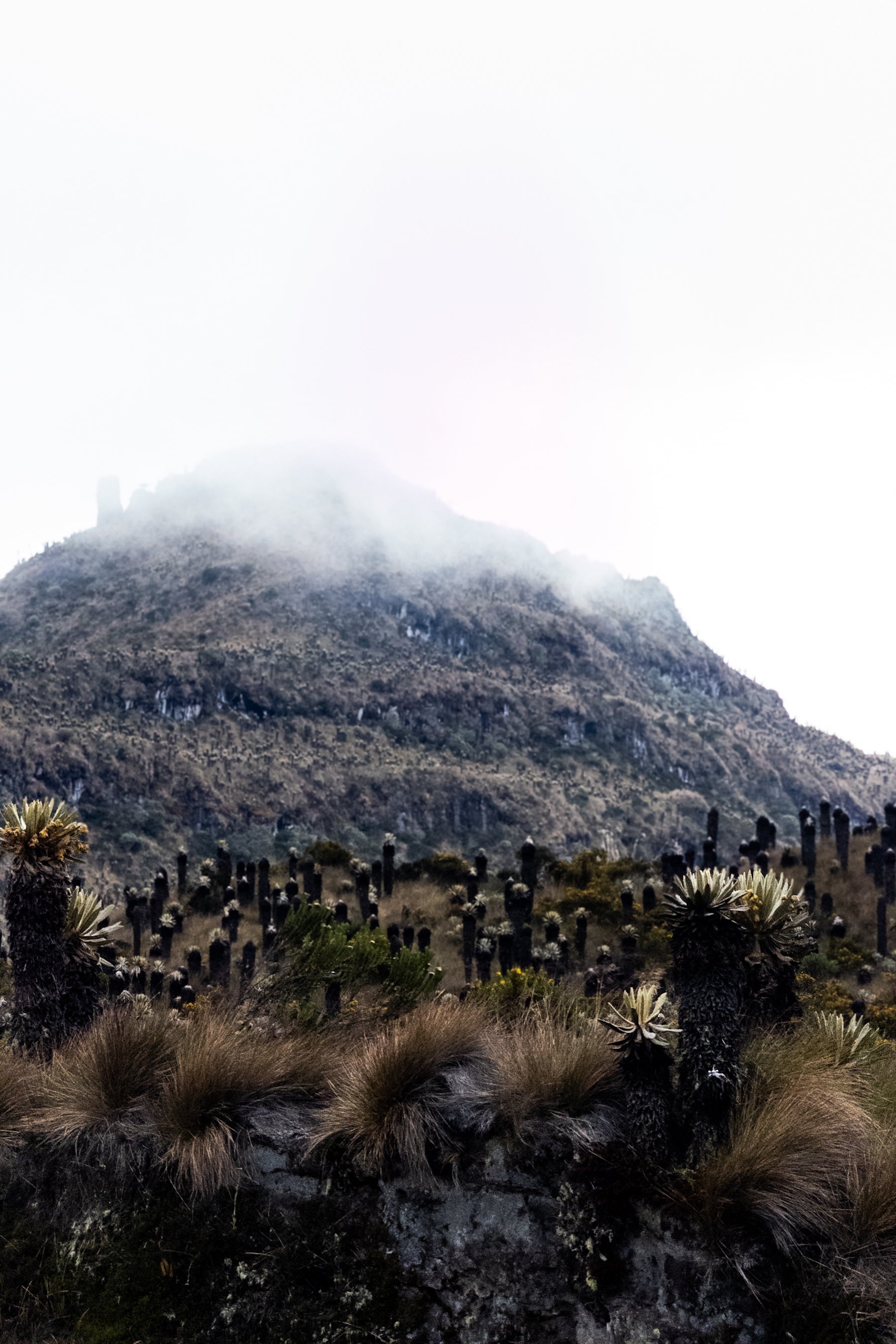 Salida en Armero Guayabal