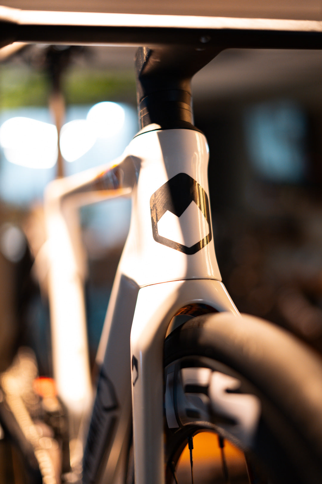 DI MONTI CUPRA RS X SHIMANO DURA ACE 12S