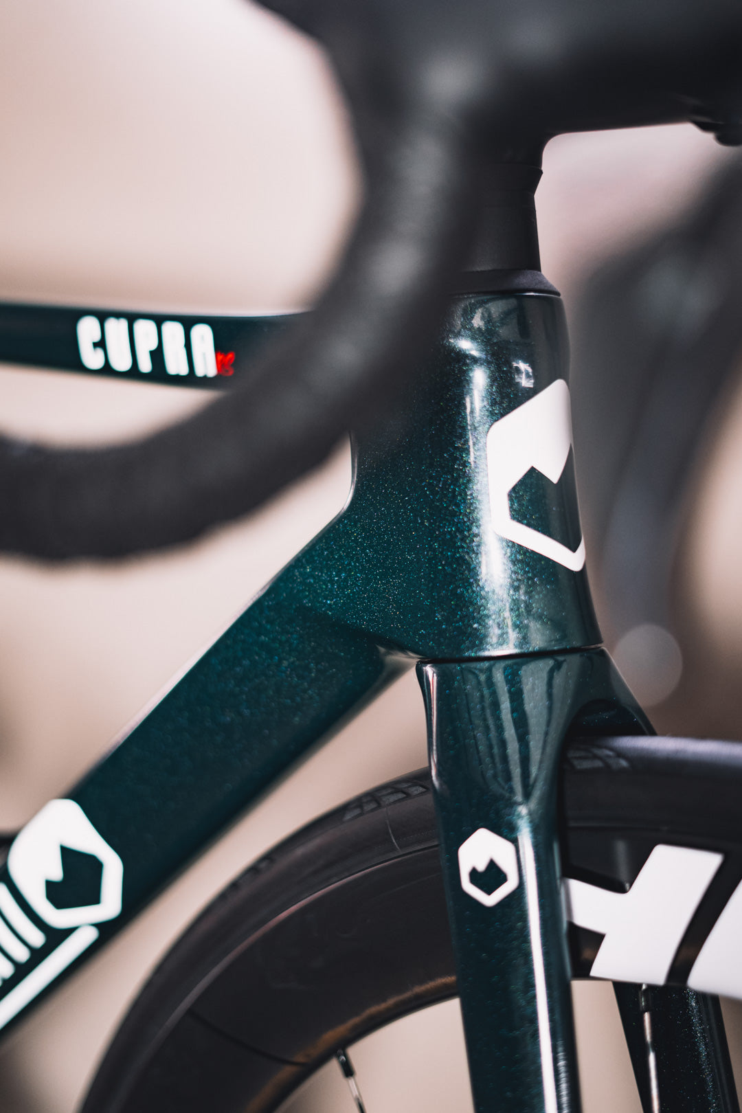 DI MONTI CUPRA RS X SHIMANO ULTEGRA X CeramicSpeed